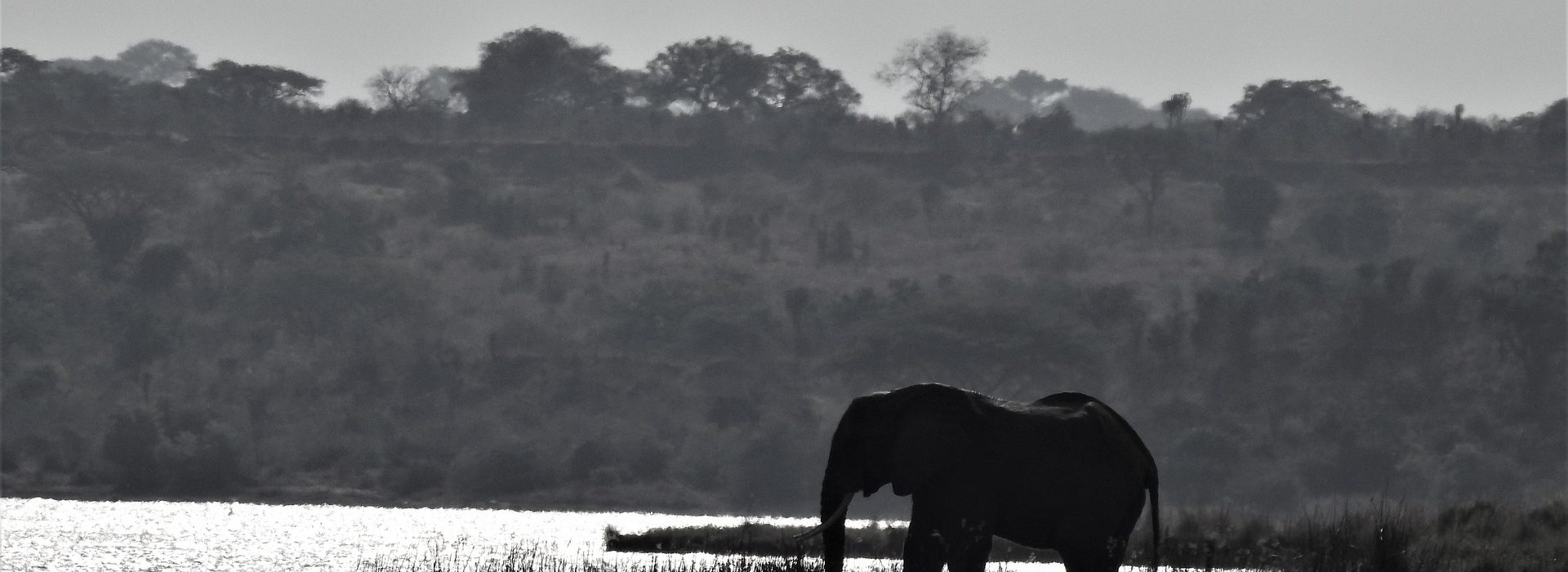 7-Day Masai Mara & Amboseli