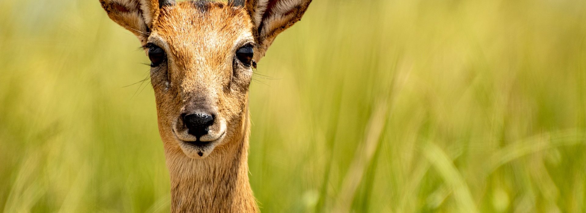 5-Day Ngorongoro & Serengeti