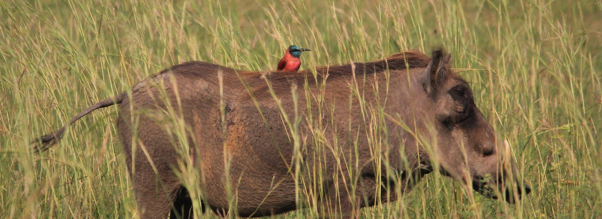 Kenya
