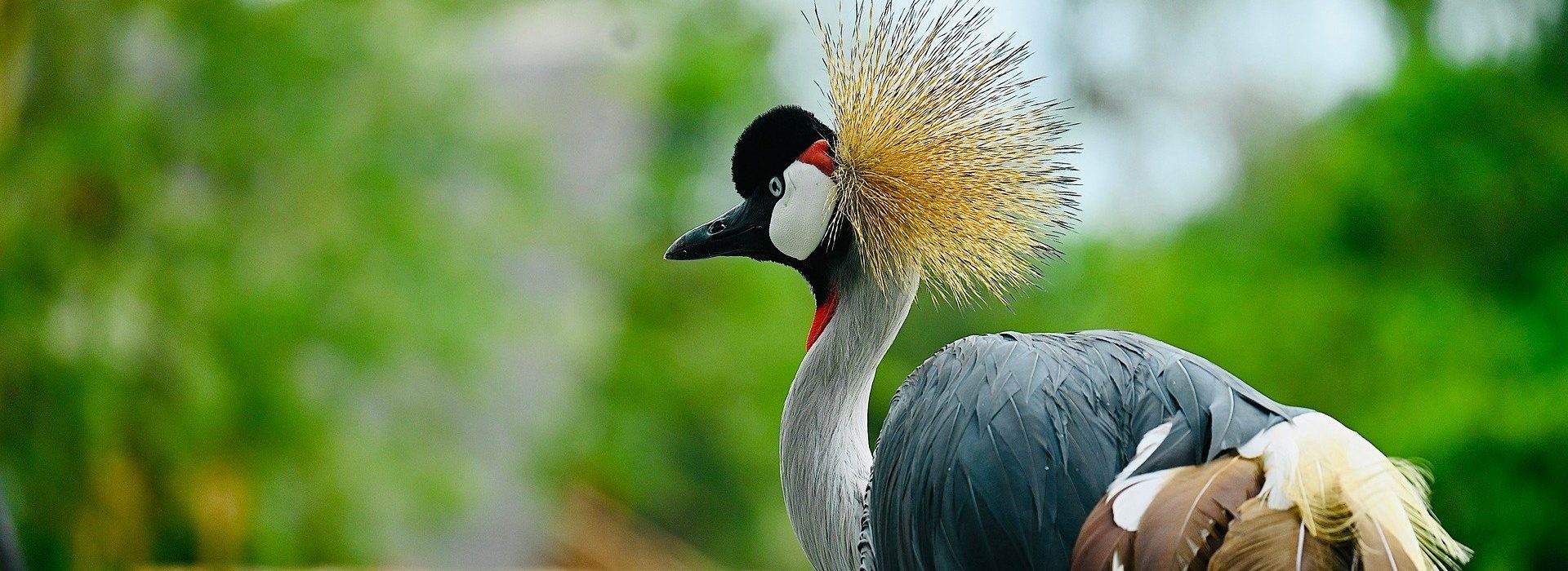 Photography Safaris
