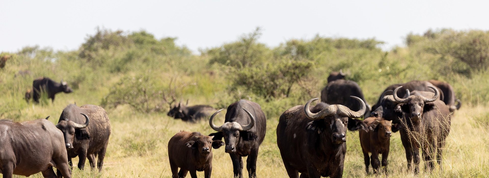 10-Day Kenya Highlights Safari